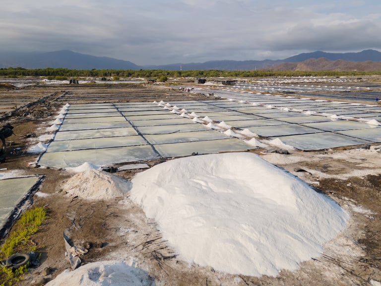 Aerial view of salt ponds with white crystallized salt in foreground and rectangular evaporation pools with mountains in background
