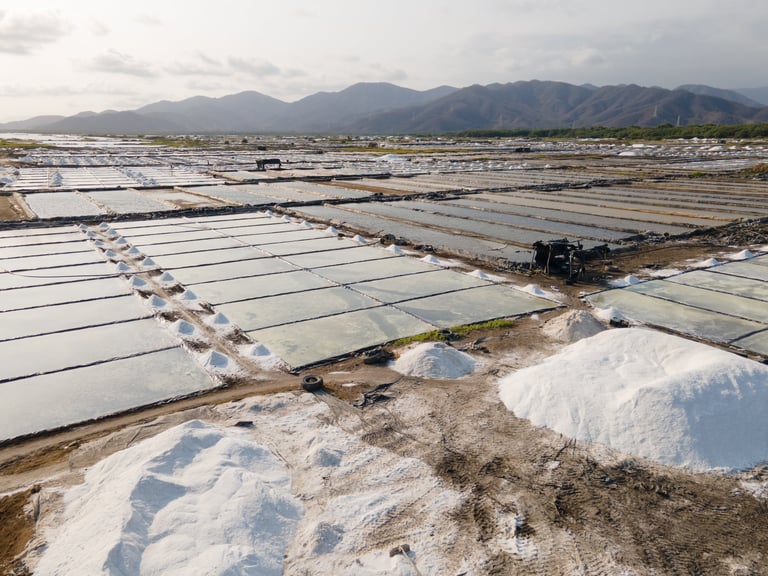 Aerial view of salt farm with rectangular salt ponds, white salt piles, and mountains in the background