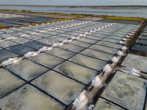Aerial view of salt evaporation ponds in a grid pattern with white dividing channels