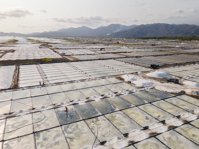 Aerial view of extensive greenhouse farming with white-covered structures and irrigation systems in a valley with mountains in the background