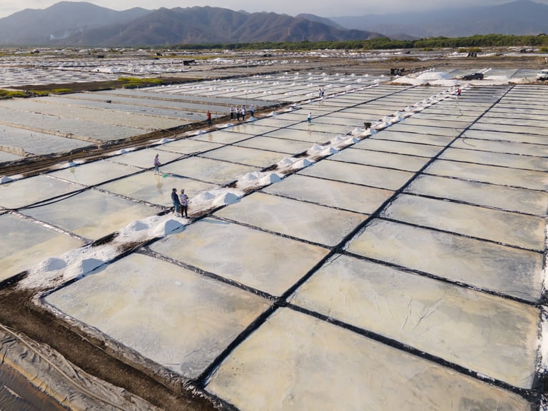 Aerial view of salt evaporation ponds arranged in a grid pattern with mountains in the background
